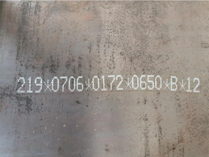 Ручной струйный маркиратор H16111 (3)